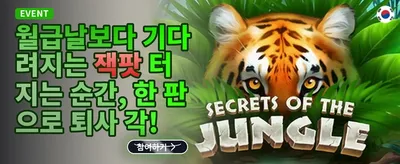 신규 가입자 100% 웰컴 보너스 promotion banner